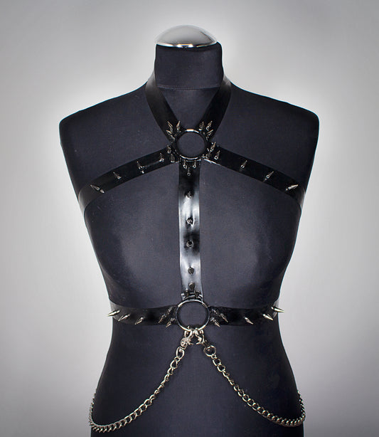 "STARDVST" Harness